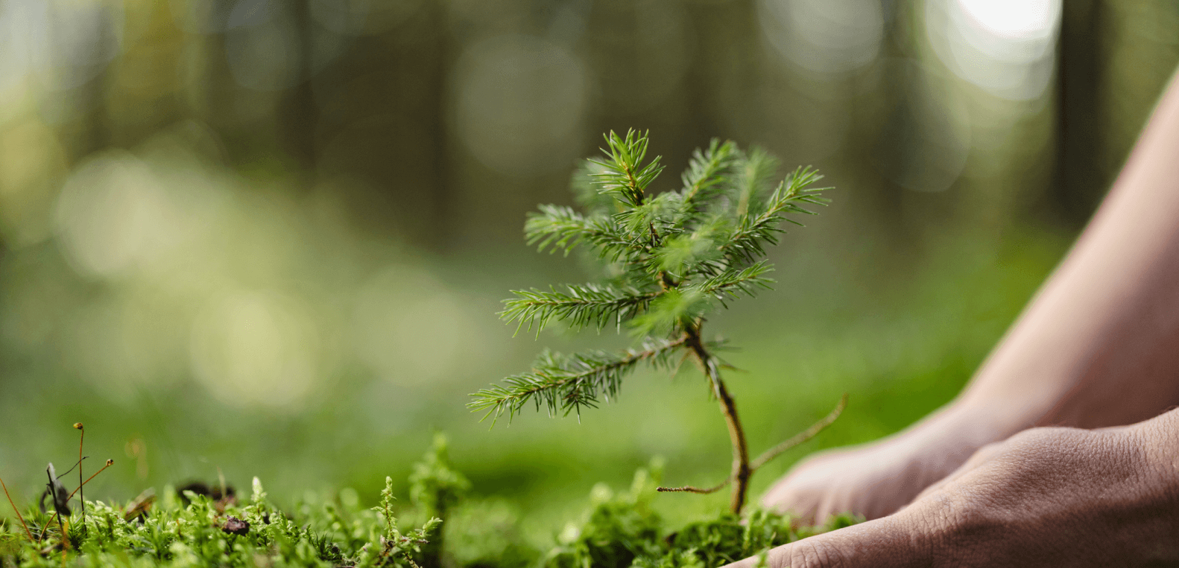 We Provide Sustainable And Inclusive Services