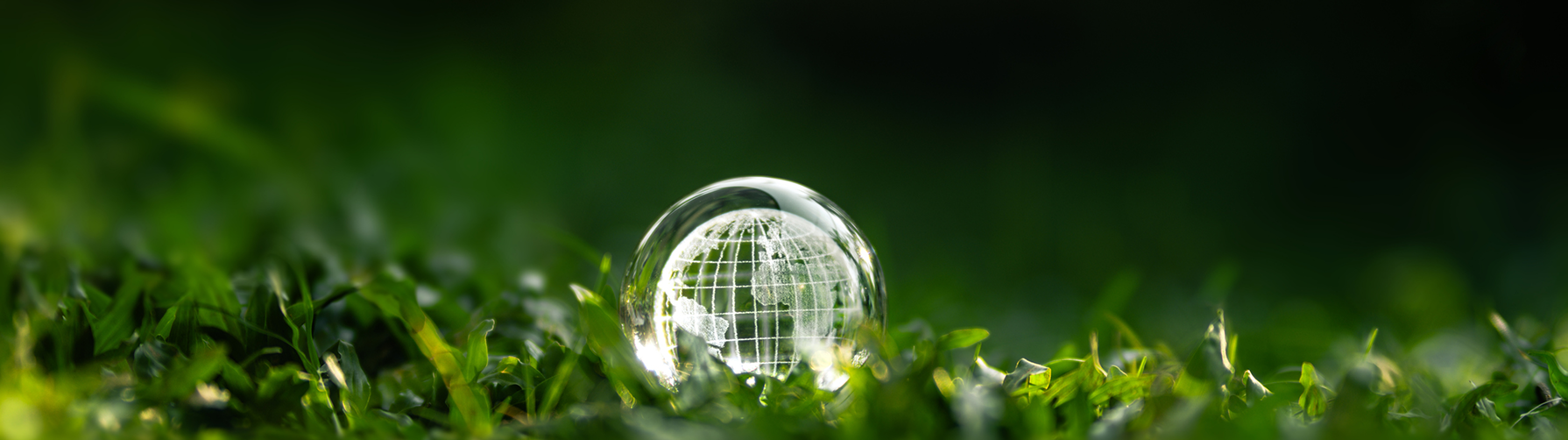 Sustainability with ESG