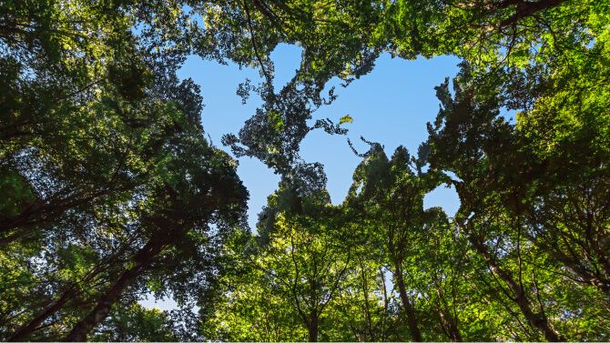 العلوم الطبيعية